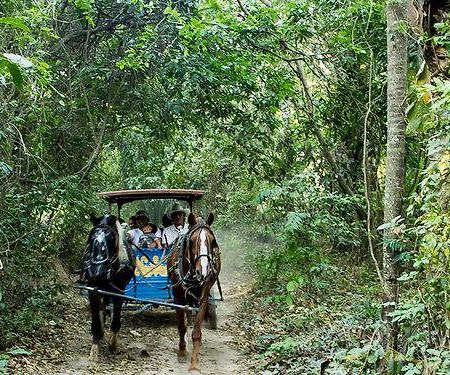 Guembe Biocentro & Resort 산타 크루즈 드 라 시에라 외부 사진